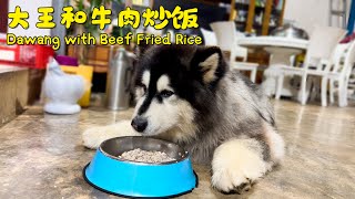 Dawang with Beef Fried Rice | 大王和牛肉炒饭~【阿盆姐家的大王】