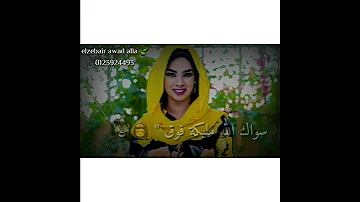محمد النصري حالات طنبور سودانية 2020 