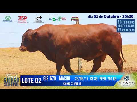 LOTE 02 GIS 670