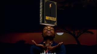 Nomndayi Ukukhanya (Visualizer)