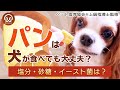 【犬ごはんFAQ】犬にパンをあげても大丈夫?「塩分・ 砂糖・イースト菌が心配」にお答えします!