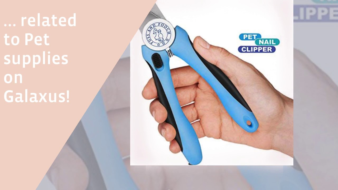 Pet Supplies YouTube