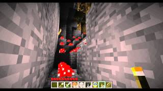 Minecraft - 54 Red Mushrooms in Cavern