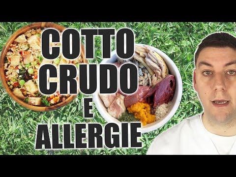 casalinga-cotta-o-cruda-e-allergie:-quali-sono-i-vantaggi?