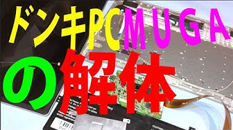 ドンキムガ Youtube