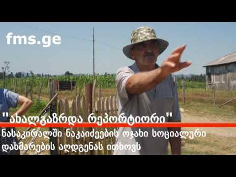 ახალგაზრდა რეპორტიორი  -  ნაკაიძეები დახმარების აღდგენას ითხოვენ