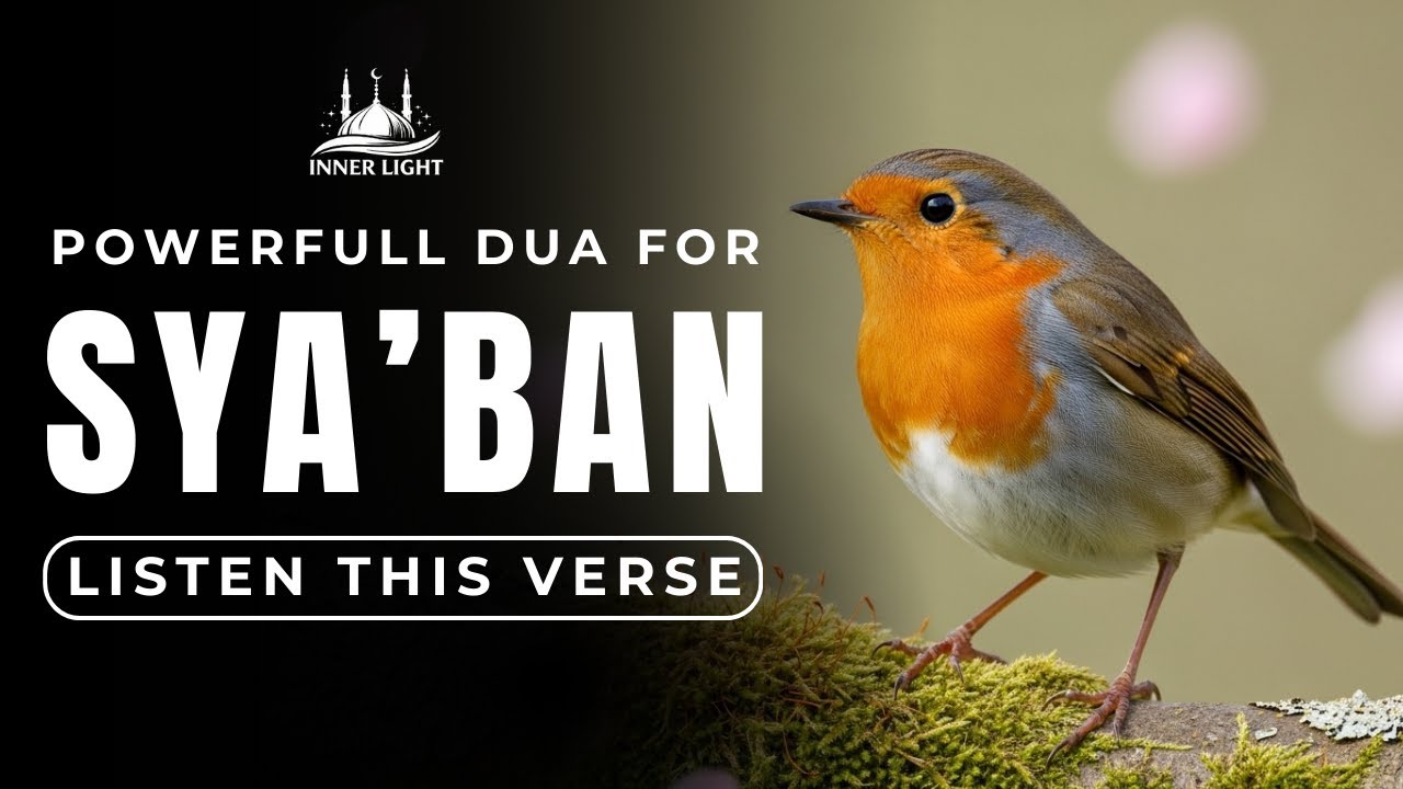 A Powerful Dua for Rizq, Wealth, Protection and Success | InshaAllah