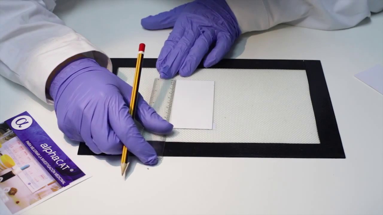 Alpha CAT  Protocolo paso a paso para analizar los Cannabinoides