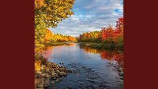 Waterside Reflections in Serenity
