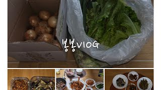 [🇰🇷40대주부Vlog]냉장고지도만들🍱/무청된장국/가지볶음/고추장멸치볶음/소고기미역국/콩나물불고기/사랑목살리기🌵