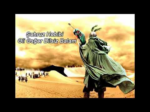 Dilsiz balam - Şəhruz Həbibi