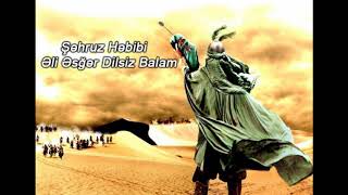 Dilsiz balam - Şəhruz Həbibi Resimi