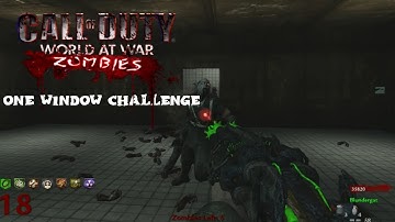 One Window Challenge - Call Of Duty Custom Zombies (COD WAW)