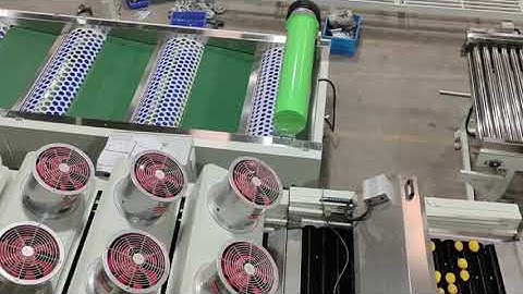 Large Garlic Bulb Grading Machine Producing in Factory