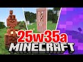 PORTE 3D SVELATE per ERRORE? - Minecraft ITA 1.21.9 Snapshot 25w35a