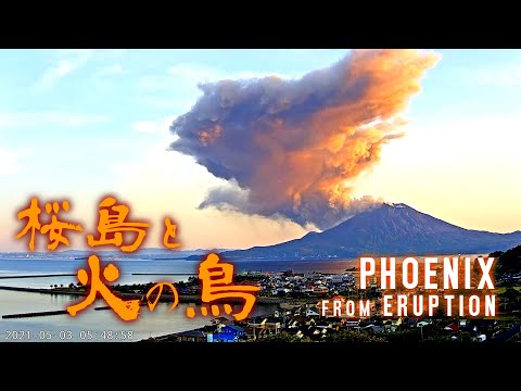 【タイムラプス】 桜島と火の鳥 【2021/05/03】 / Phoenix from Sakurajima Eruption