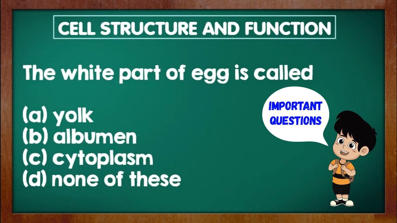 NCERT/CBSE : Class 8 Science - Chapter 8 Cell : Structure and Function ...