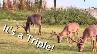It's a Triple! Three Eagles Ranch Texas
