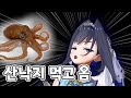 알차게 즐긴 크로니의 한국 여행