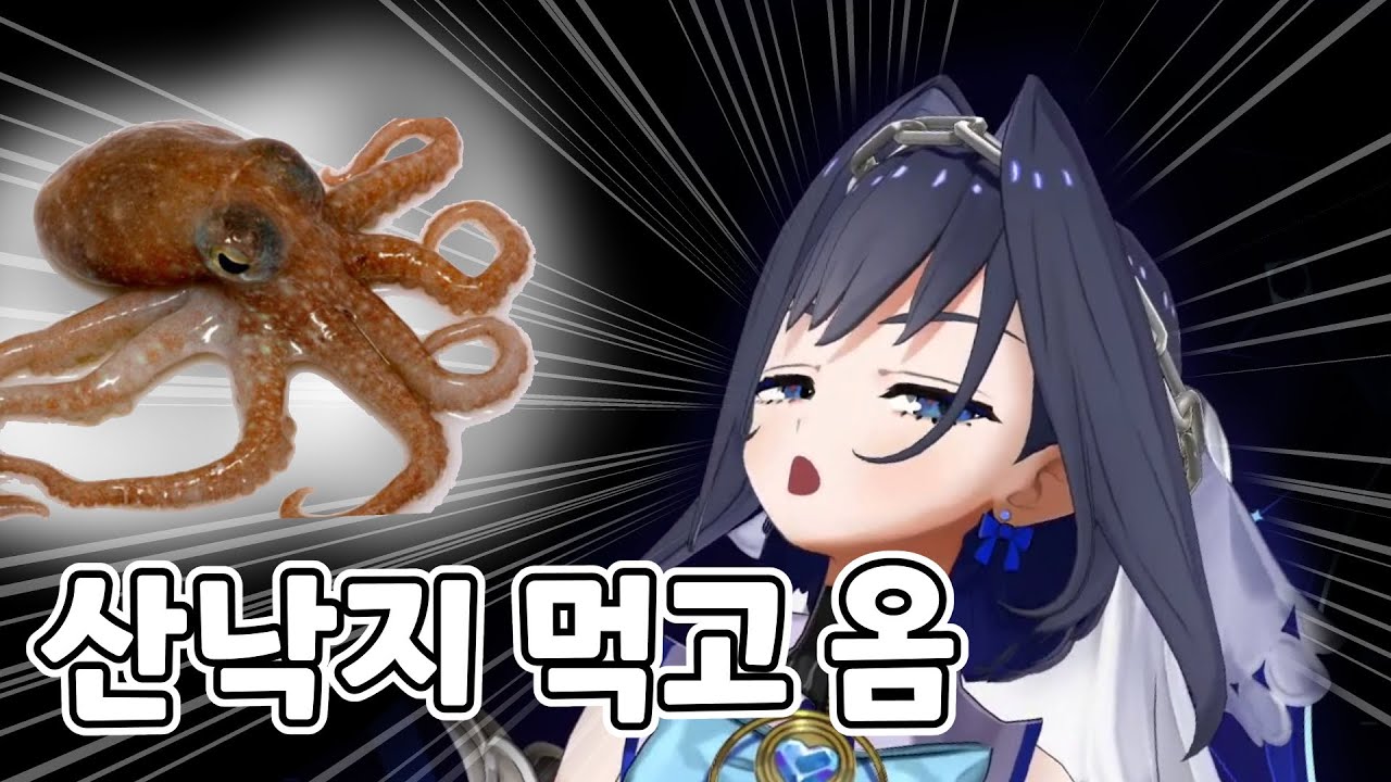 알차게 즐긴 크로니의 한국 여행