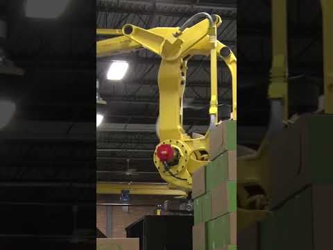 Streamline multi-line packaging operations with high-efficiency #robotic palletizing #shorts #fanuc