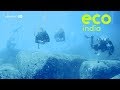 Eco India: How a group of divers in Puducherry are trained to rid sea beds of stray fishing nets