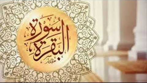 كروان الصعيد الشيخ بركات سيد البخاري يتألق ويبدع في أواخرسورة البقرة من 3رمضان 1440هـ 2019م