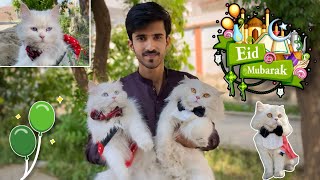 Eid Mubarak  From Max And Muffin | Rehan & Max