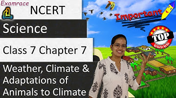 NCERT Class 7 Science Chapter 7: Weather, Climate & Adaptations of Animals to Climate (NSO/NSTSE)