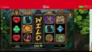 Exotic Cats Slot Review screenshot 1