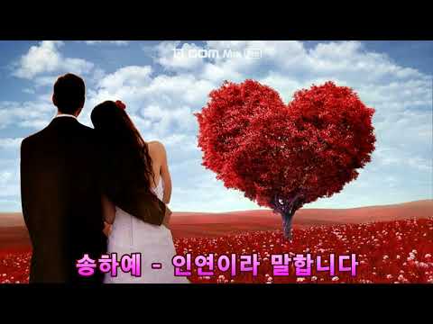 송하예 - 인연이라 말합니다 (2019)