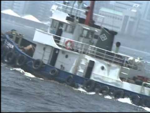 江水向東流
