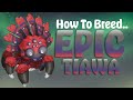 How to breed Epic Tiawa!