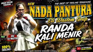 Download lagu RANDA KALI MENIR VOC ELI WASTEM || NEW NADA PANTURA || ELI WASTEM GRUP