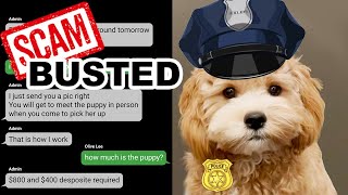 How To Avoid Puppy Scammer And Adopt Safely