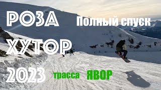 Красная поляна. Роза хутор. 2023  Полный спуск! ЯВОР (зеленая). 12.01.2023