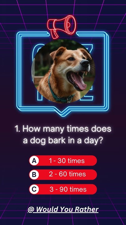 how-many-times-does-a-dog-bark-in-a-day-you-ll-be-surprised-youtube