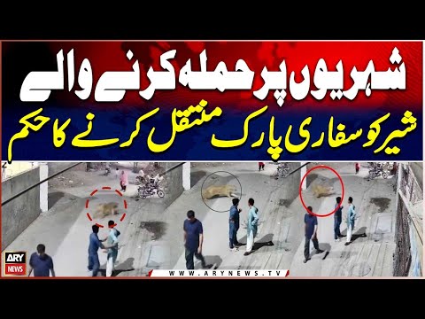 Lahore: Lion That