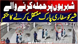 Lahore: Lion That Attacked Citizens Ordered to Be Shifted to Safari Park