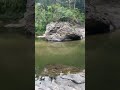 sweet rivers in stony hills Jamaica #subscribe #short