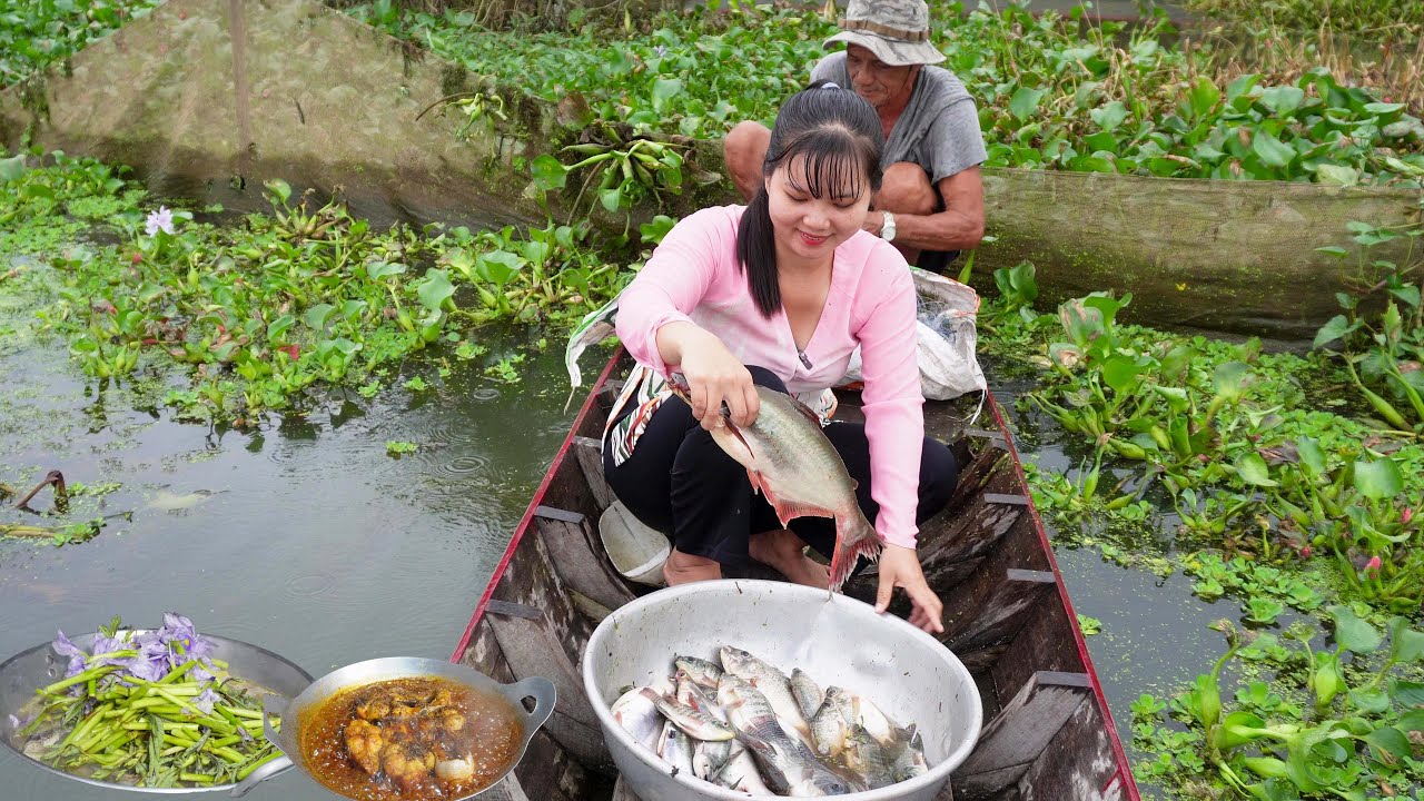 Giăng Lưới Kế Bên Chòi không ngờ dính Cá Tra Bự được Bữa Cơm Ngon | HQ #1736