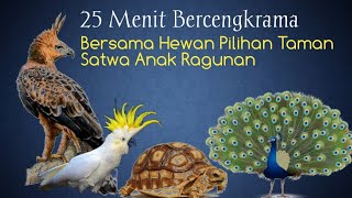 25 MINUTES OF CHATTING | WITH SELECTED ANIMALS AT TSA RAGUNAN