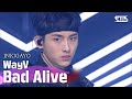 WayV(웨이션브이)- Bad Alive @인기가요 inkigayo 20200802