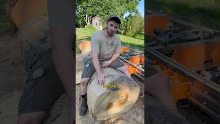 Download Lagu What’s a Pith? 🌲🇺🇸#shorts MP3 Download Lagu What’s a Pith? 🌲🇺🇸#shorts MP3