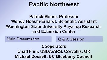 Raspberry Breeding for the Pacific Northwest