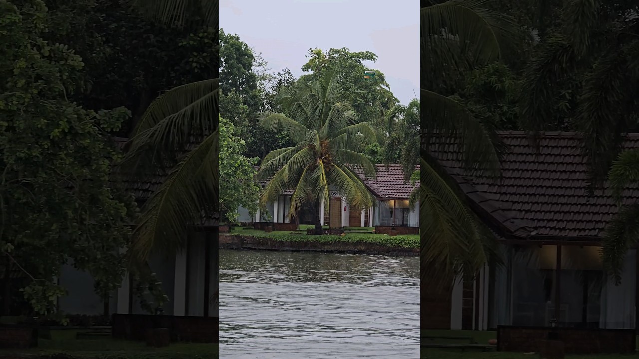 Punnamada Resort🧼🧼...... Best Water front Resort in Alappuzha
