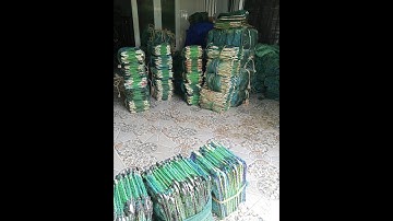 lú củ, lộp củ, nò củ, 12 cửa ngục củ. 09638181369(25.9.2.2024)