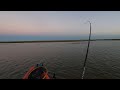 Huge school of redfish