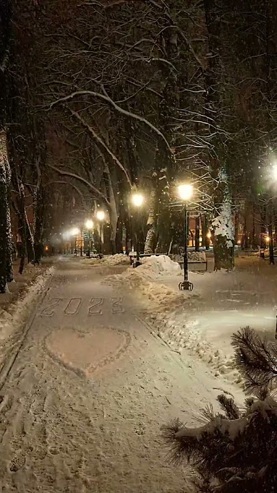 4 Days left 💫//video from:@lamon.pluto