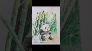 How to draw  panda and bamboo tree.